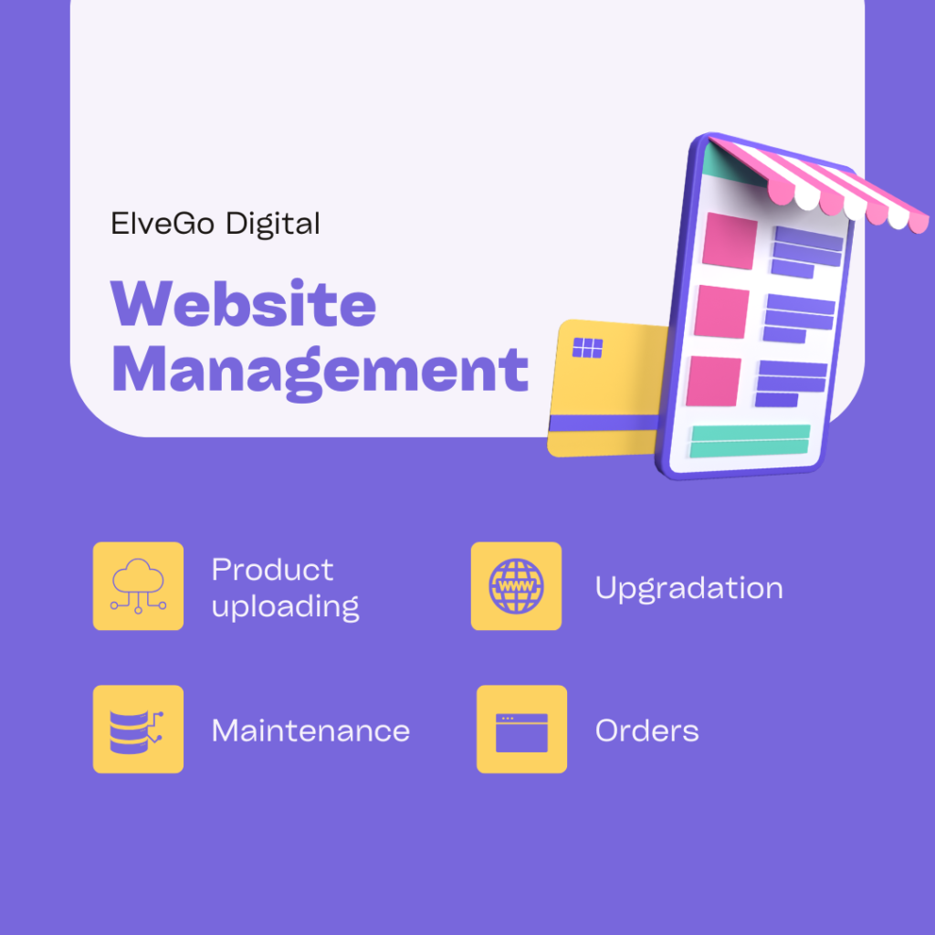 Elvego digital is best website manager agency in pakistan